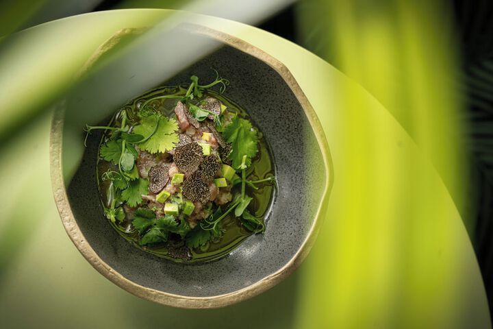 Dining 40 of 64
