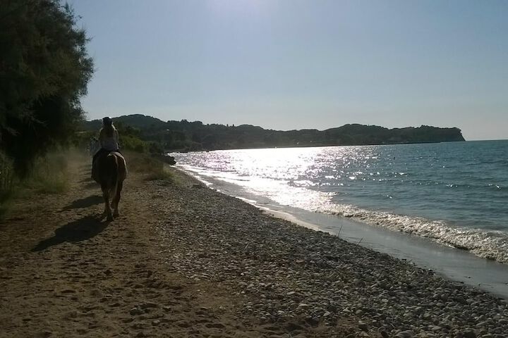 Beach 112 of 128