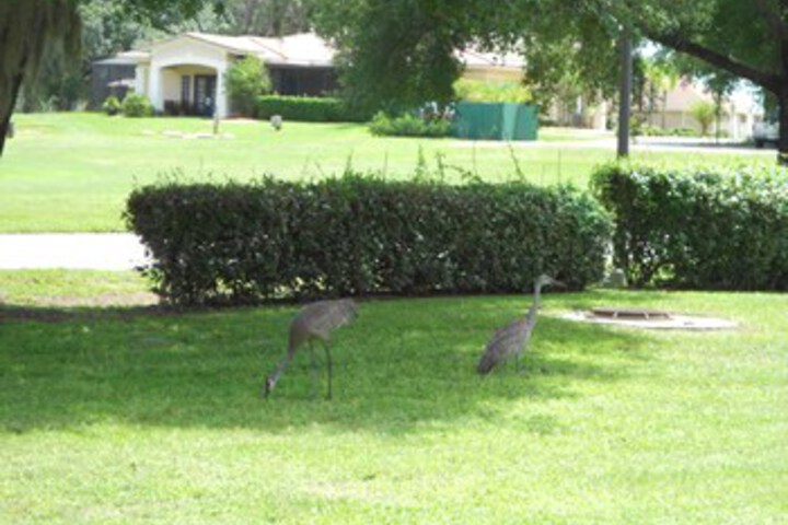 Property Grounds 31 of 45