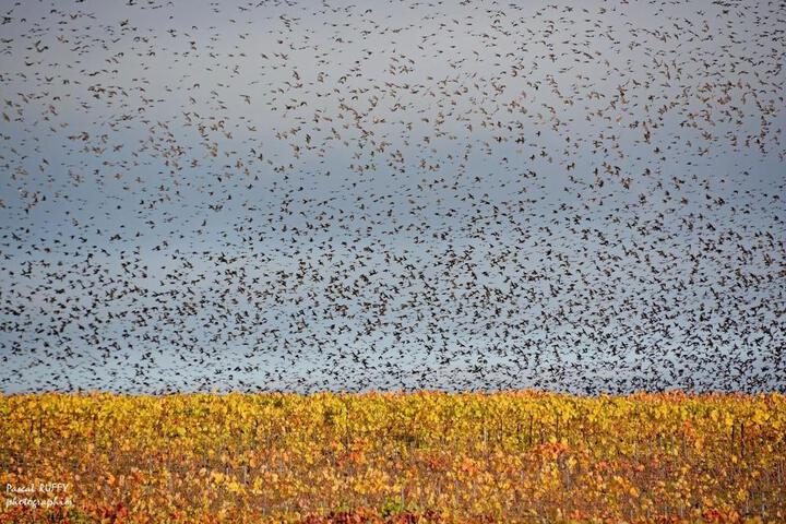 General 14 of 61