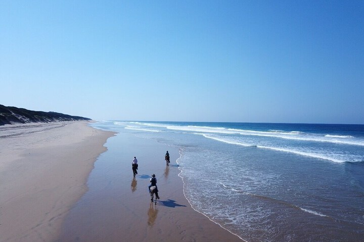 Beach 100 of 126
