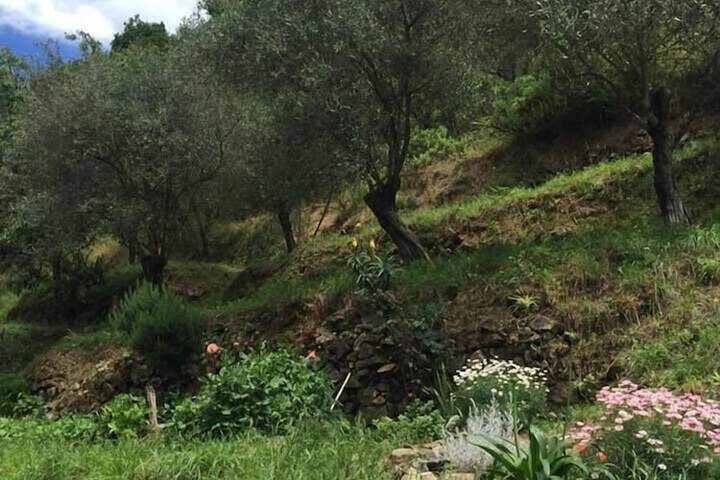Image of Il Capriolo Bed & Breakfast