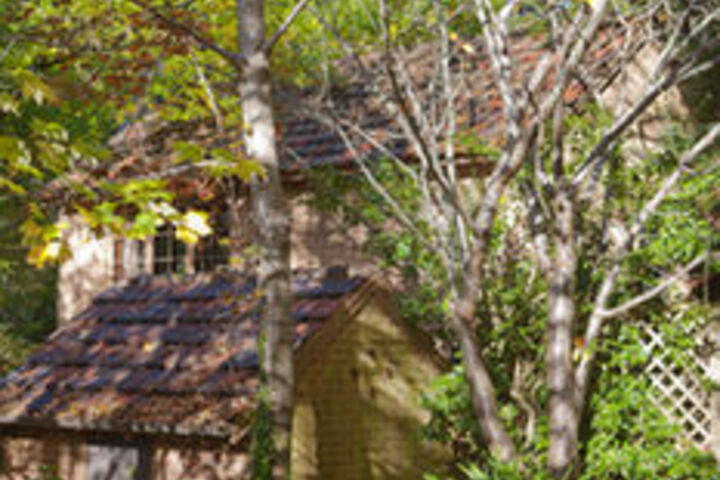 Property Grounds 7 of 9