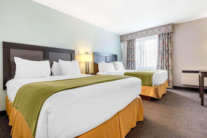 2 Queen Beds (8 of 10)