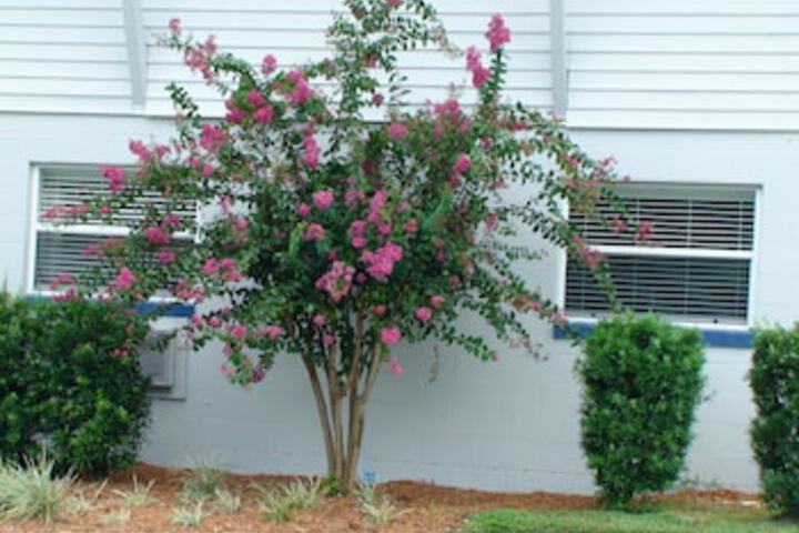 Property Grounds 181 of 207