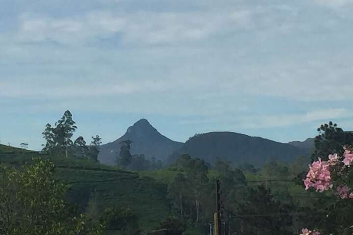 YOHO JAI BANGALOW