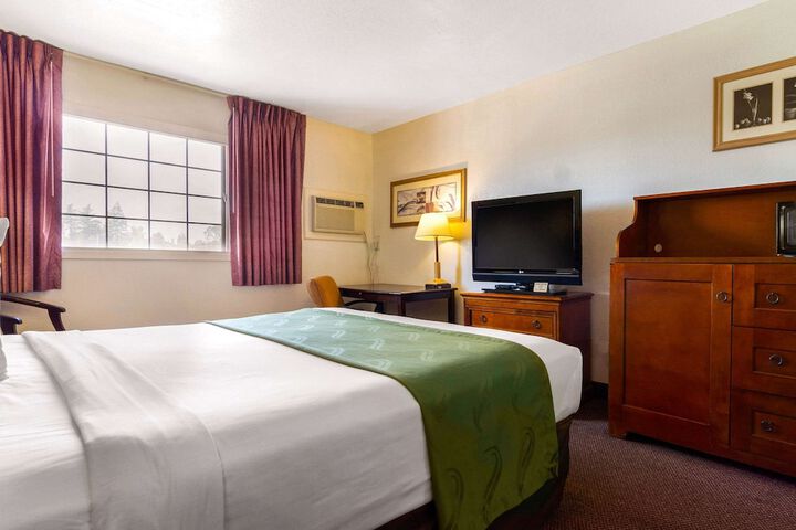 Standard | King Bed (16 of 16)
