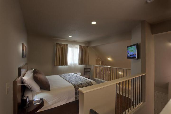Suite Room