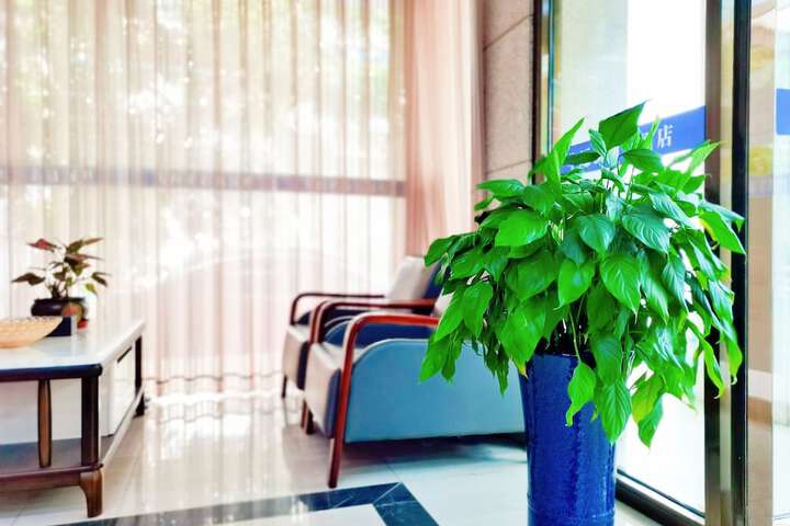 Lobby Entry