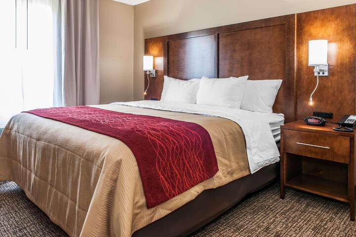 1 King Bed (3 of 9)