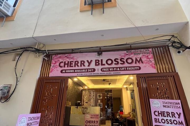 Hotel Cherry Blossom