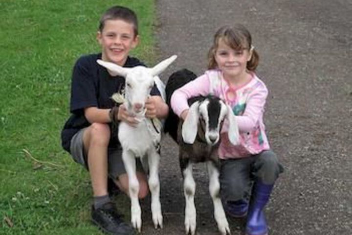 Property Grounds 6 of 6