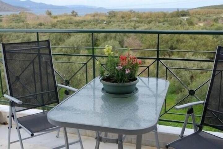 Terrace/Patio 90 of 131