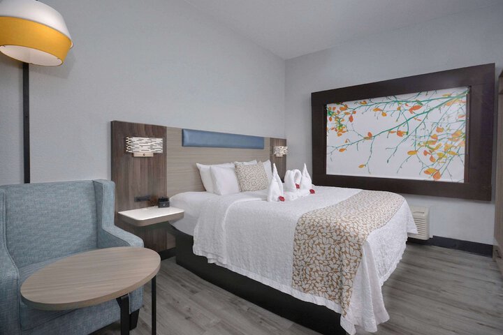 Standard | King Bed (5 of 31)