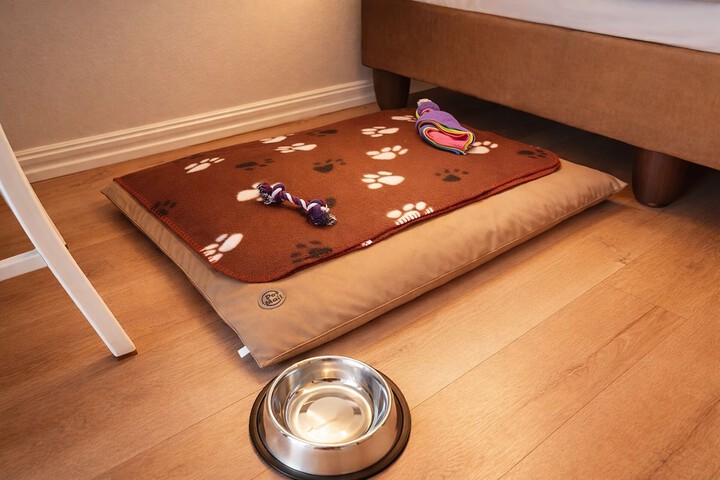 Pet Friendly 149 of 204
