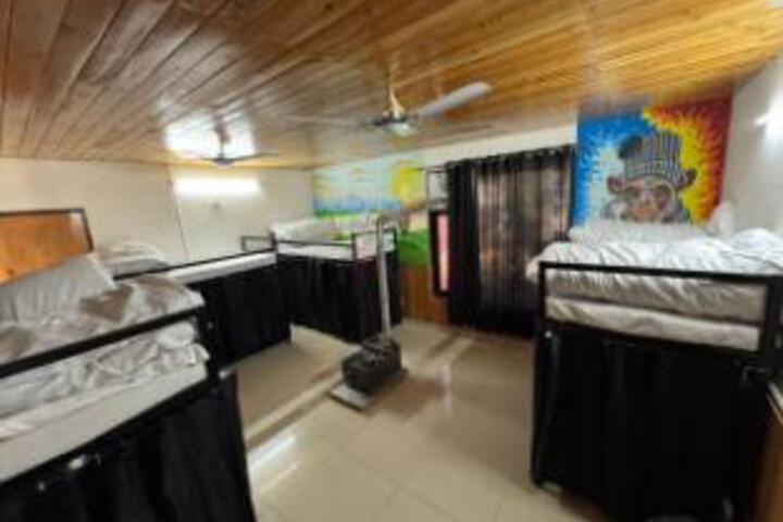 Room 3 of 4
