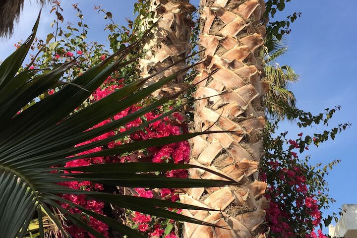 Hotel Exterior 40 of 50