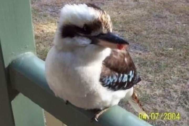 Property Grounds 6 of 9