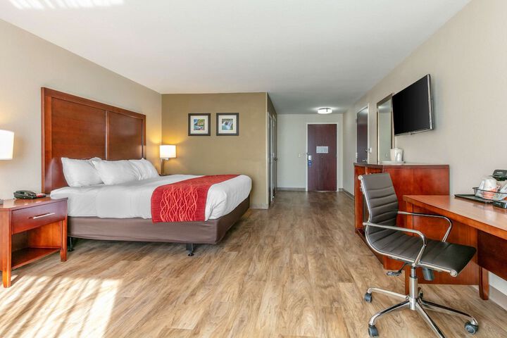 1 King Bed (4 of 18)