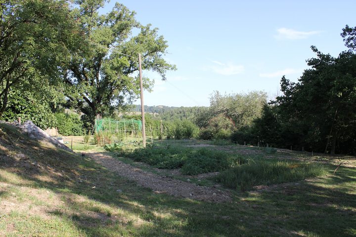 Property Grounds 25 of 36