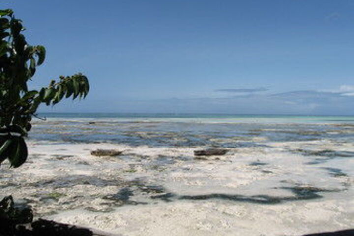 Beach 19 of 63