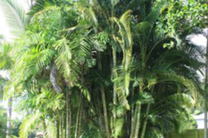 Hotel Exterior 6 of 14