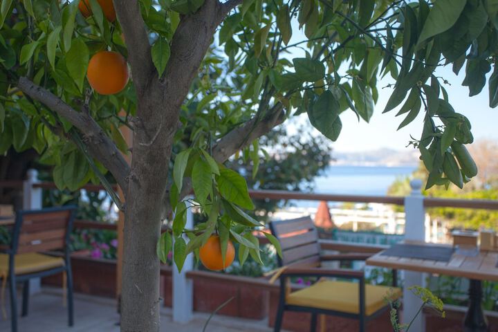 Terrace/Patio 102 of 108