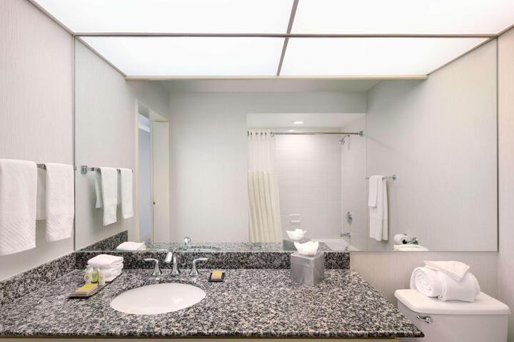 1 King Bed Mobility Accessible with Bathtub (22 of 32)