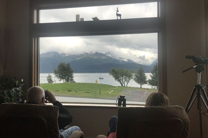 Room 15 of 61