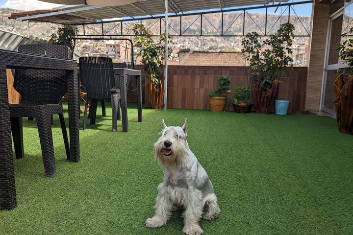 Pet Friendly 27 of 30