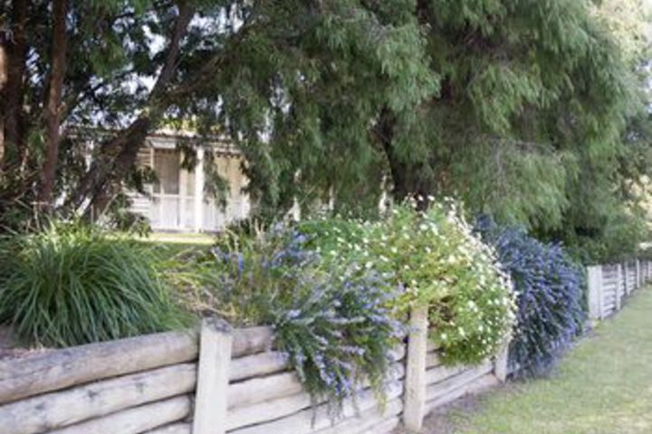 Pet Friendly 24 of 27