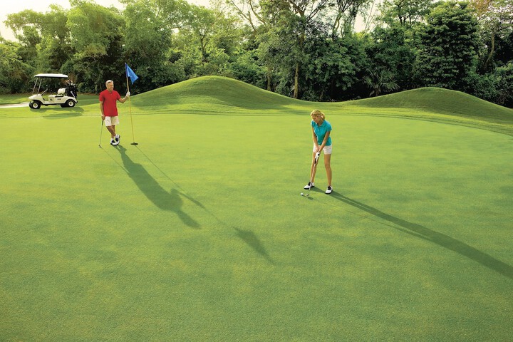 Golf 50 of 95