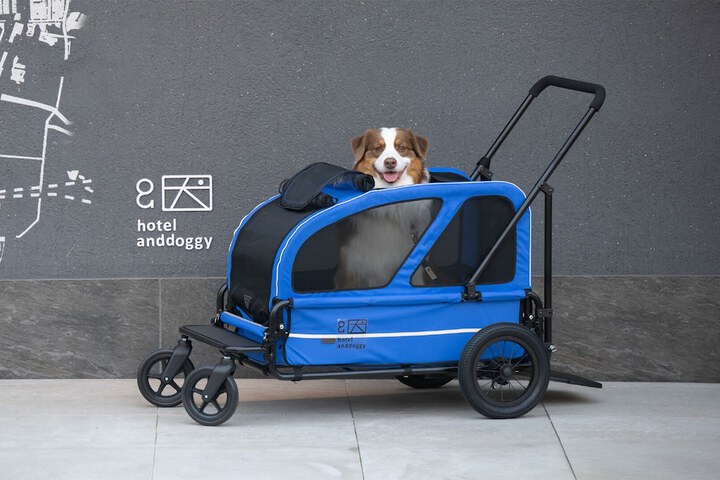 Pet Friendly 38 of 53