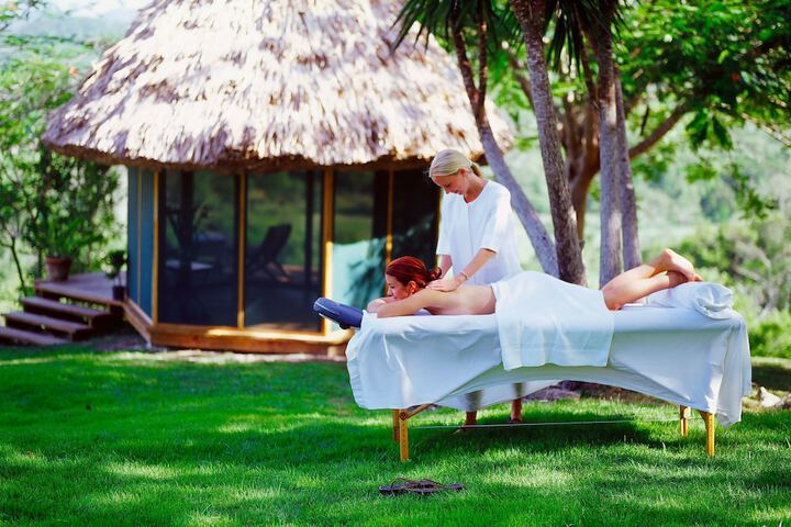 Wellness Treatments
