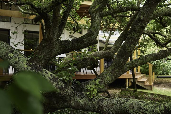 Hotel Exterior 54 of 60