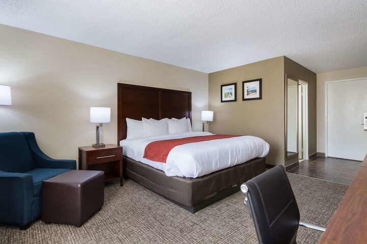 1 King Bed (19 of 19)