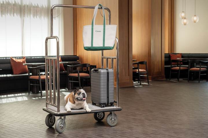 Pet Friendly 57 of 88