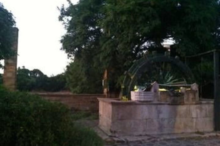 Property Grounds 40 of 48