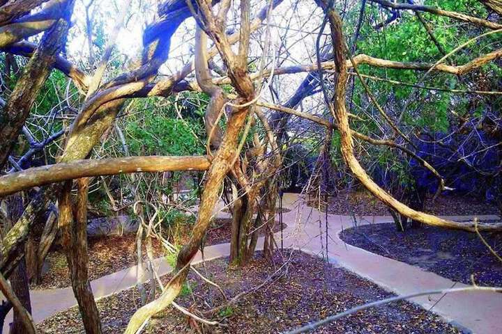 Property Grounds 28 of 41
