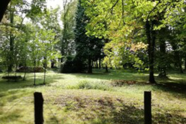 Property Grounds 12 of 106