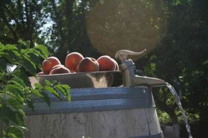 Spa and Wellness Pictures