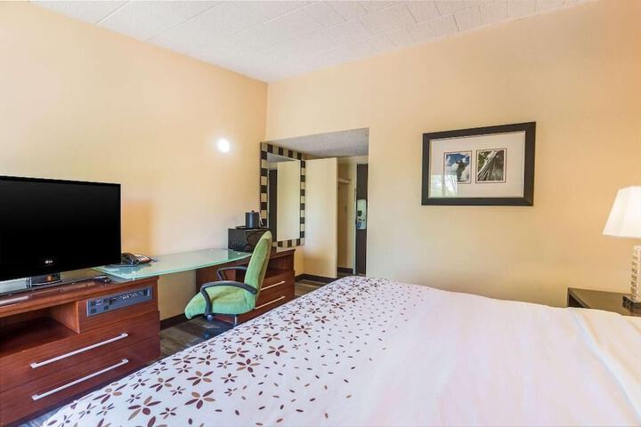 1 King Bed (8 of 12)
