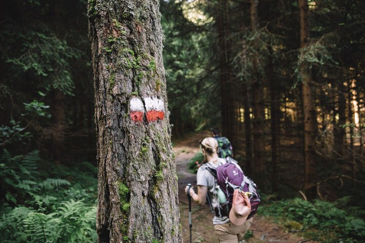 Outdoor Activities 82 of 113
