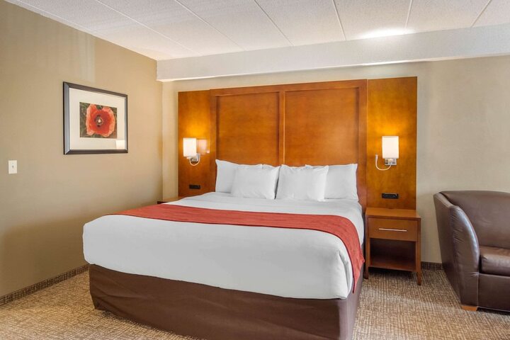 1 King Bed 2 Person Sofa Bed (19 of 30)