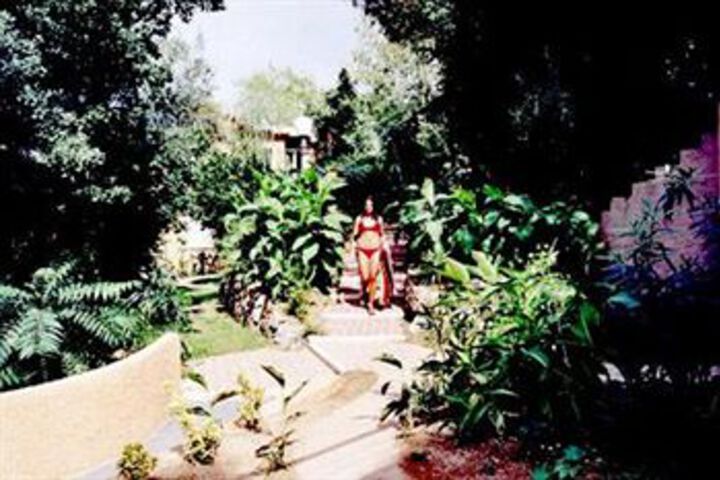 Photo 4