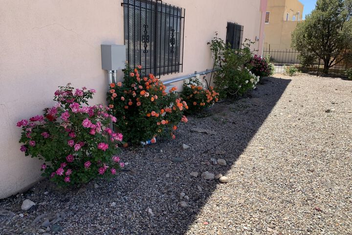 Property Grounds 14 of 26