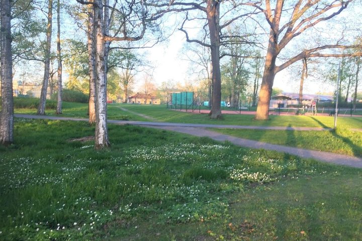 Property Grounds 64 of 78