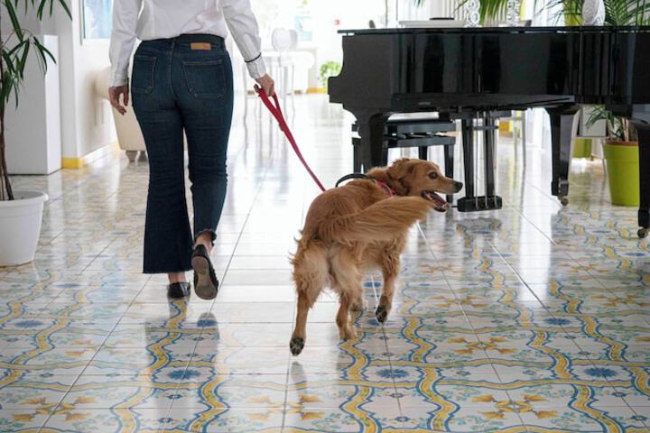 Pet Friendly 36 of 68
