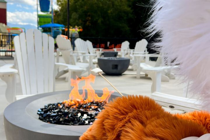 BBQ/picnic area