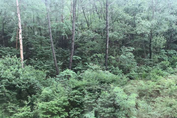 View from room
